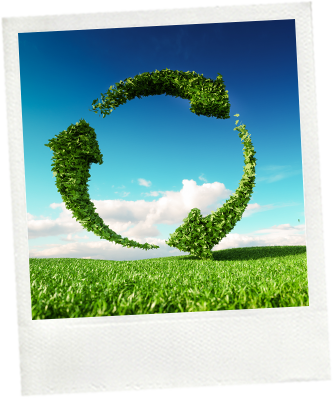 Ce qui est bon dans notre assiette l'est aussi pour notre planète