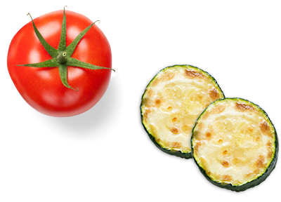 Tomate Courgettes