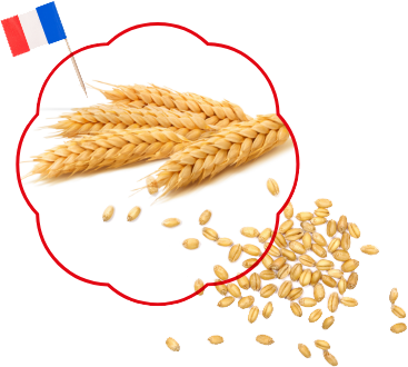 Des brins de blé et un petit drapeau français