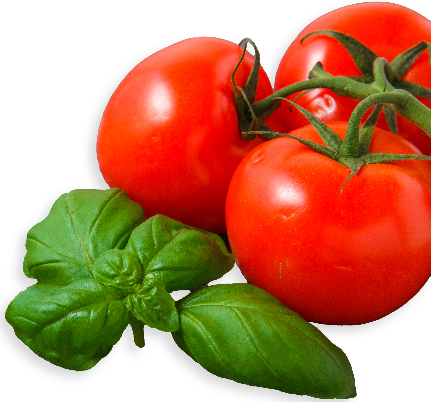tomates rouges fraîches entières