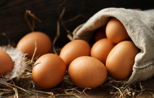 œufs de poules élevée en plein air